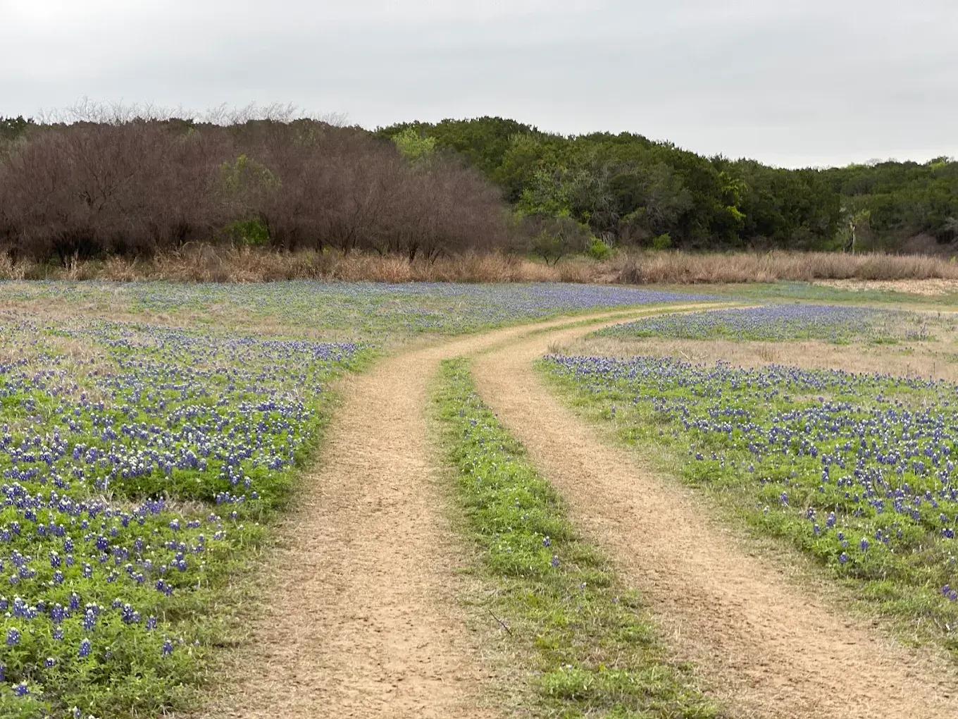 Muleshoe Bend Recreation Area
